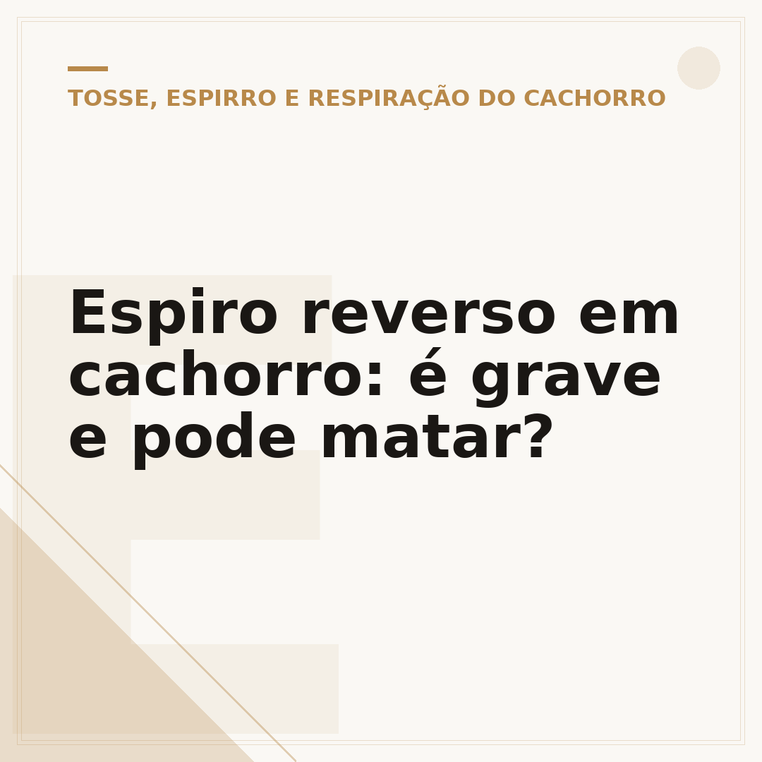 Espiro reverso em cachorro: é grave e pode matar?