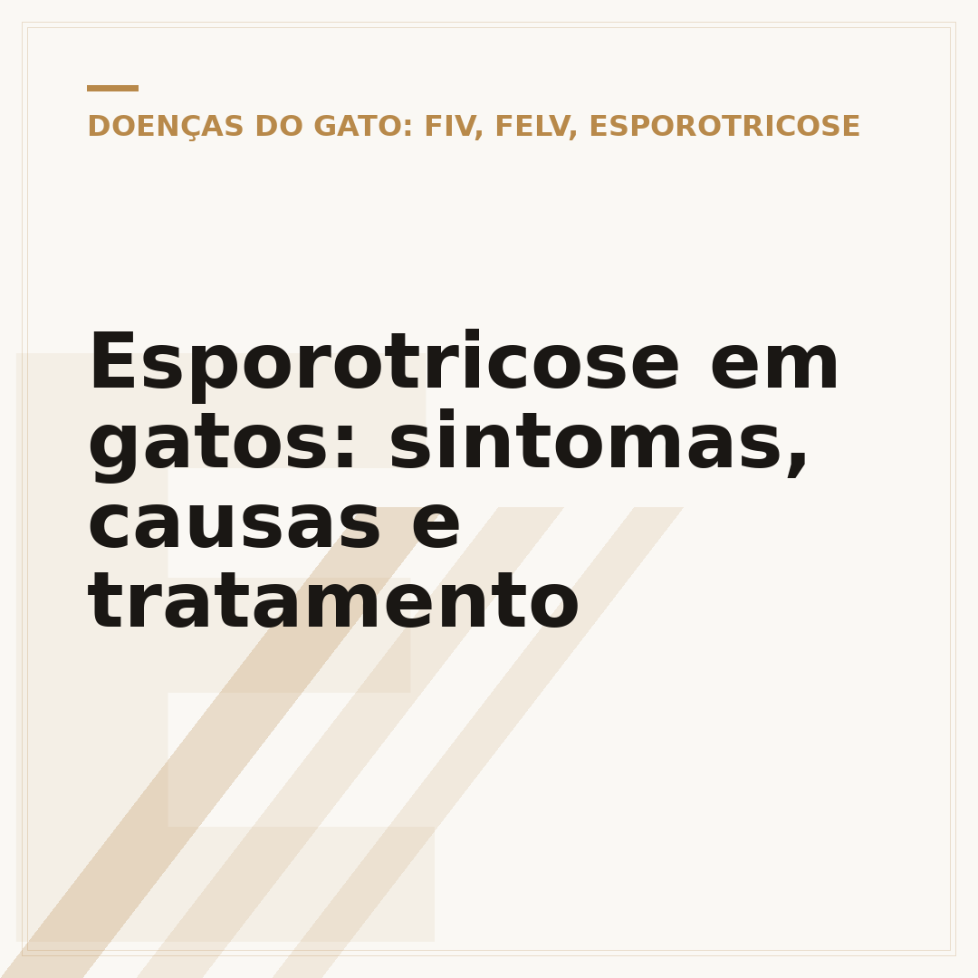 Esporotricose em gatos: sintomas, causas e tratamento