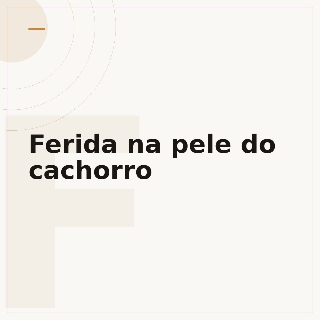 Ferida na pele do cachorro