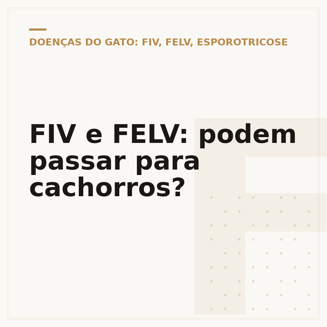 FIV e FELV: podem passar para cachorros?
