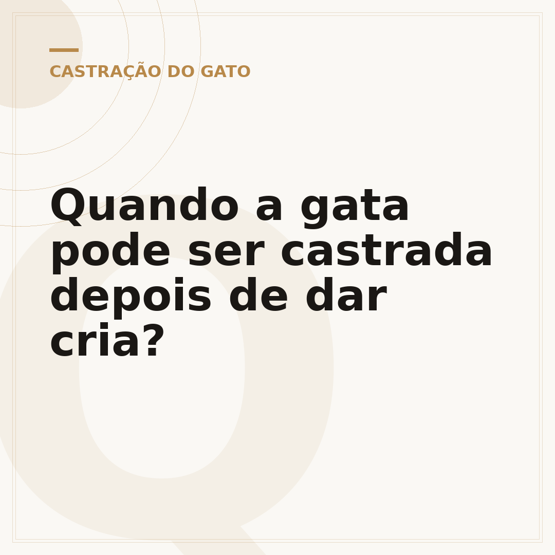 Quando a gata pode ser castrada depois de dar cria?