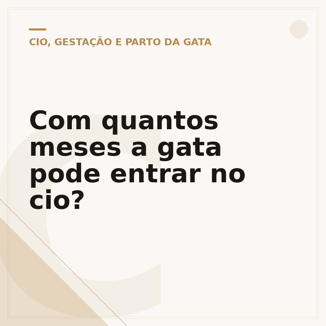 Com quantos meses a gata pode entrar no cio?
