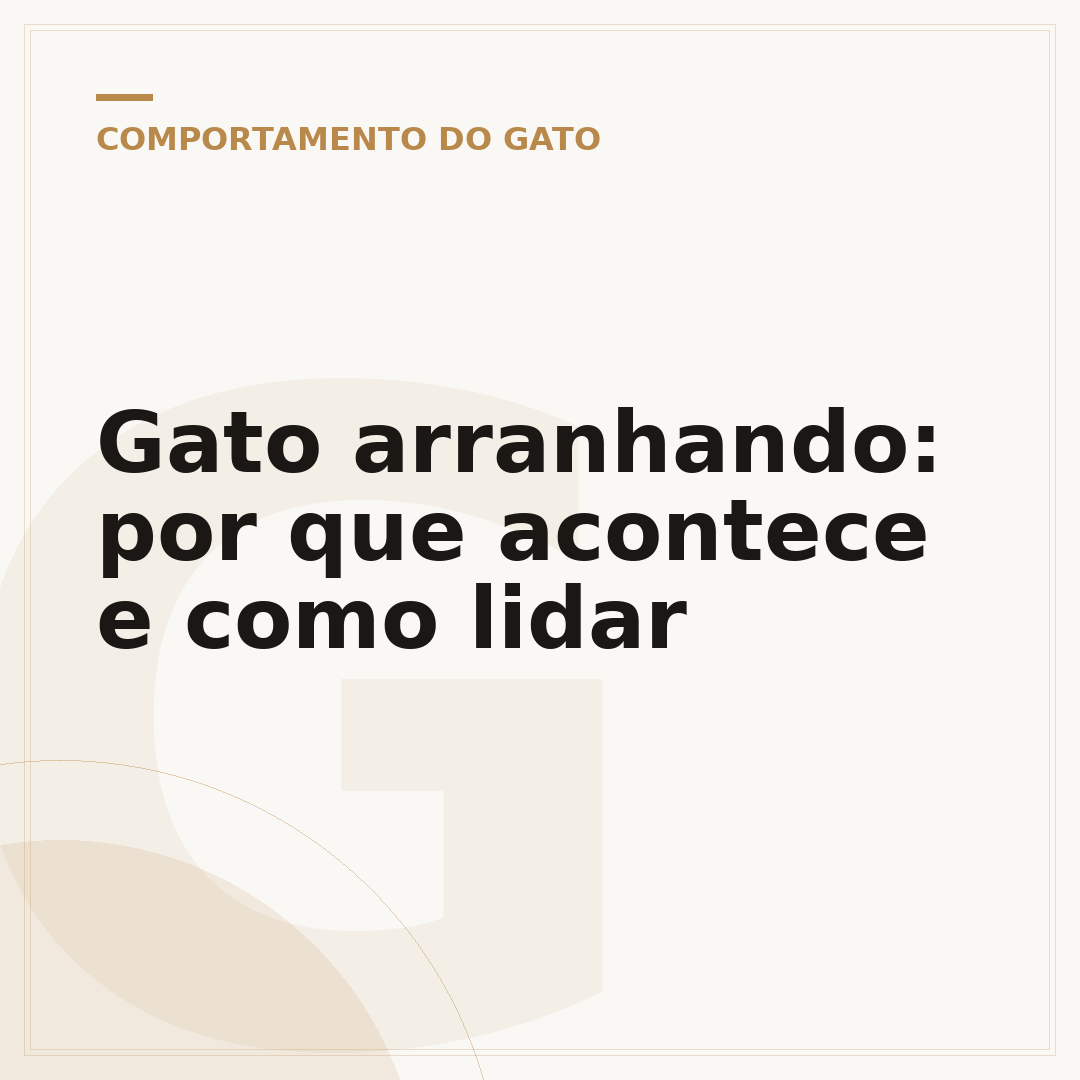 Gato arranhando: por que acontece e como lidar