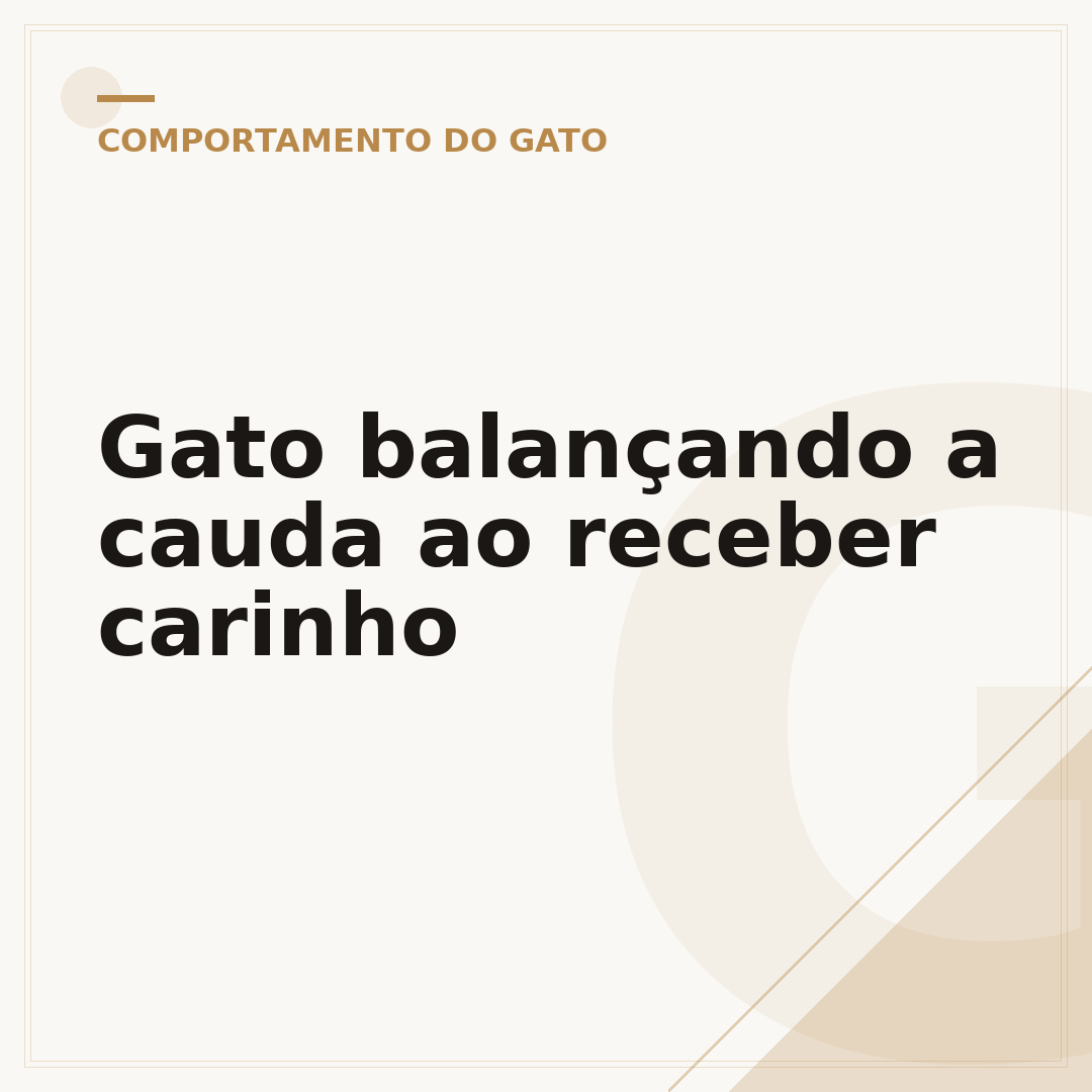 Gato balançando a cauda ao receber carinho