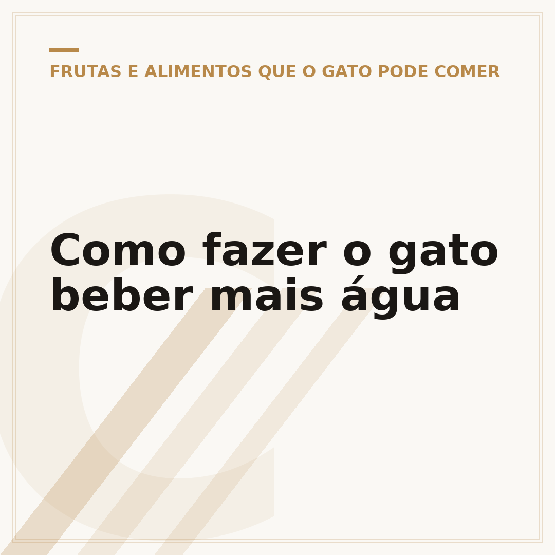 Como fazer o gato beber mais água