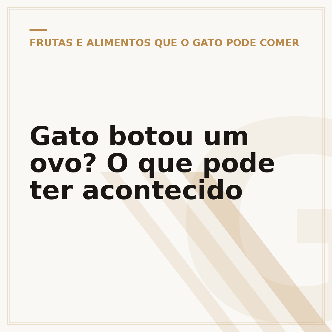 Gato botou um ovo? O que pode ter acontecido