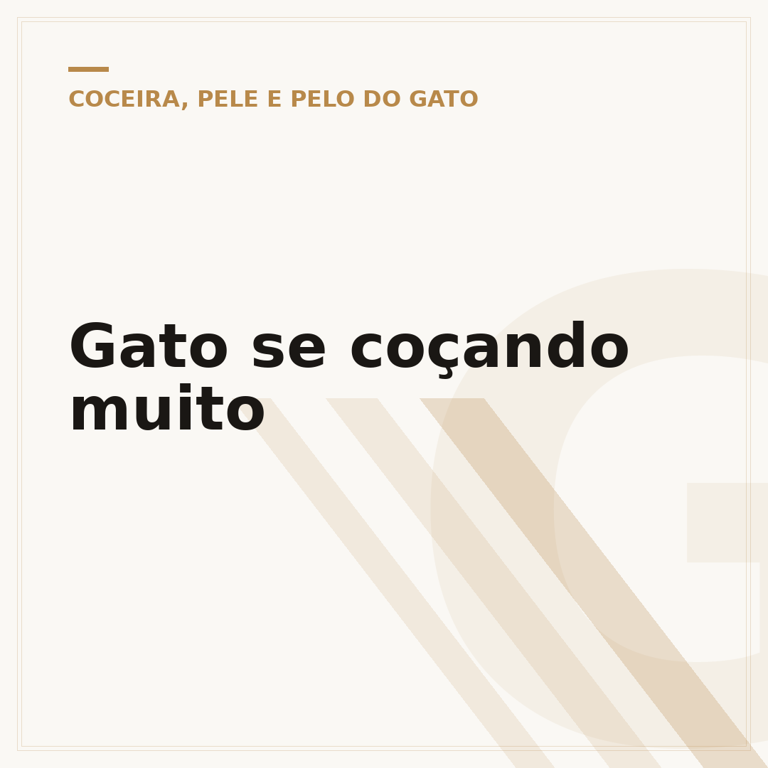 Gato se coçando muito