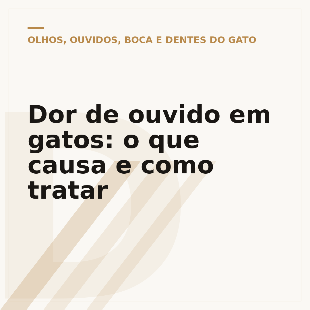 Dor de ouvido em gatos: o que causa e como tratar