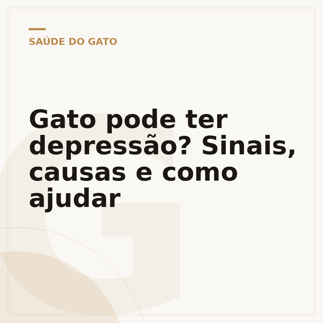 Gato pode ter depressão? Sinais, causas e como ajudar