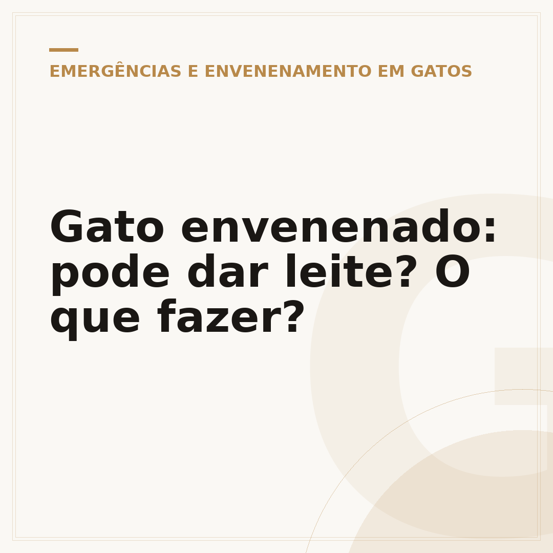 Gato envenenado: pode dar leite? O que fazer?