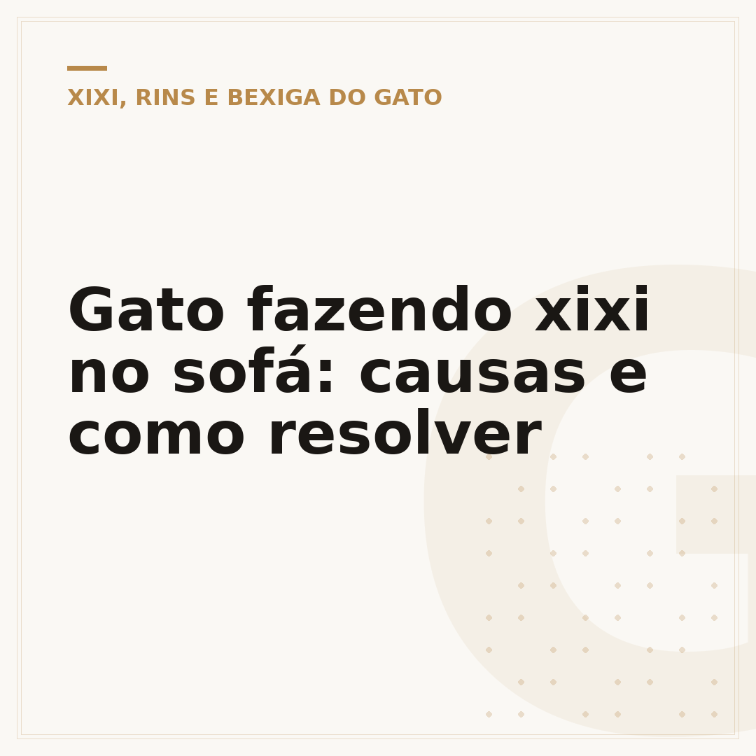 Gato fazendo xixi no sofá: causas e como resolver