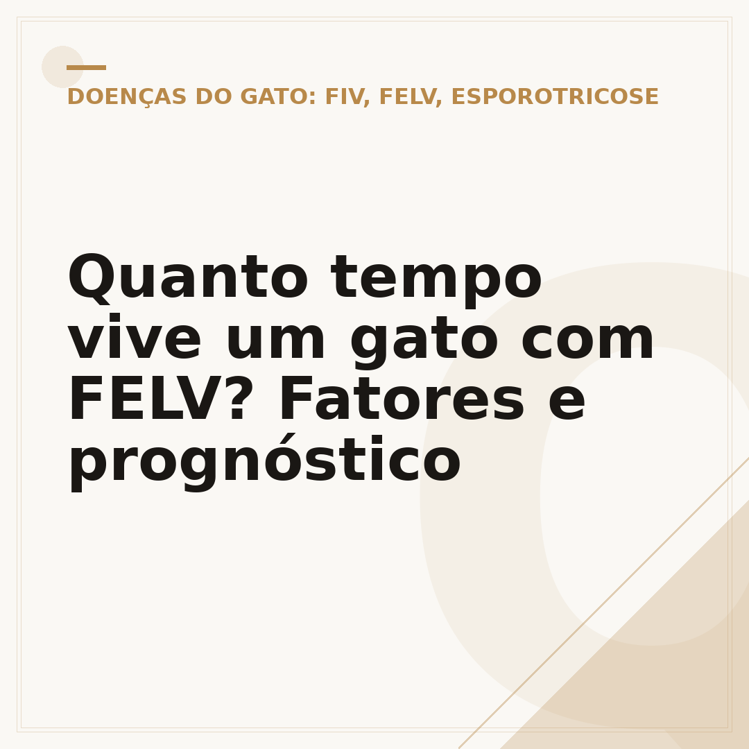 Quanto tempo vive um gato com FELV? Fatores e prognóstico