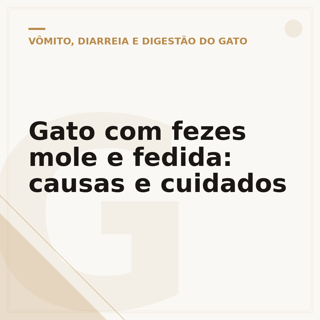 Gato com fezes mole e fedida: causas e cuidados