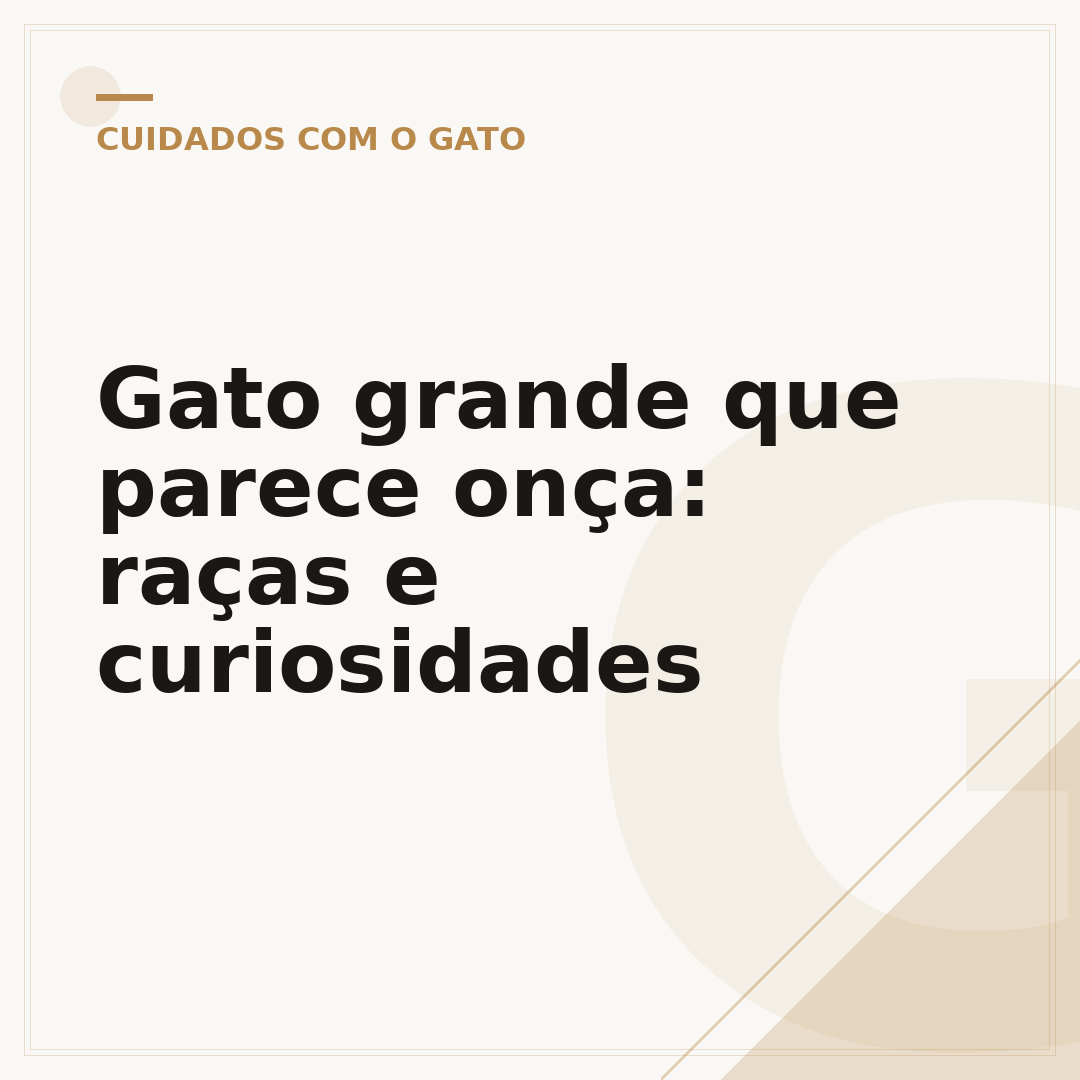 Gato grande que parece onça: raças e curiosidades