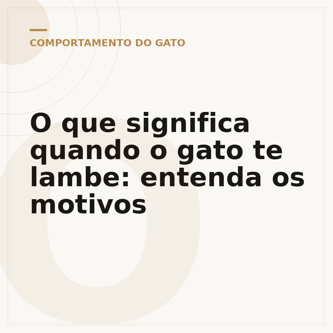 O que significa quando o gato te lambe: entenda os motivos