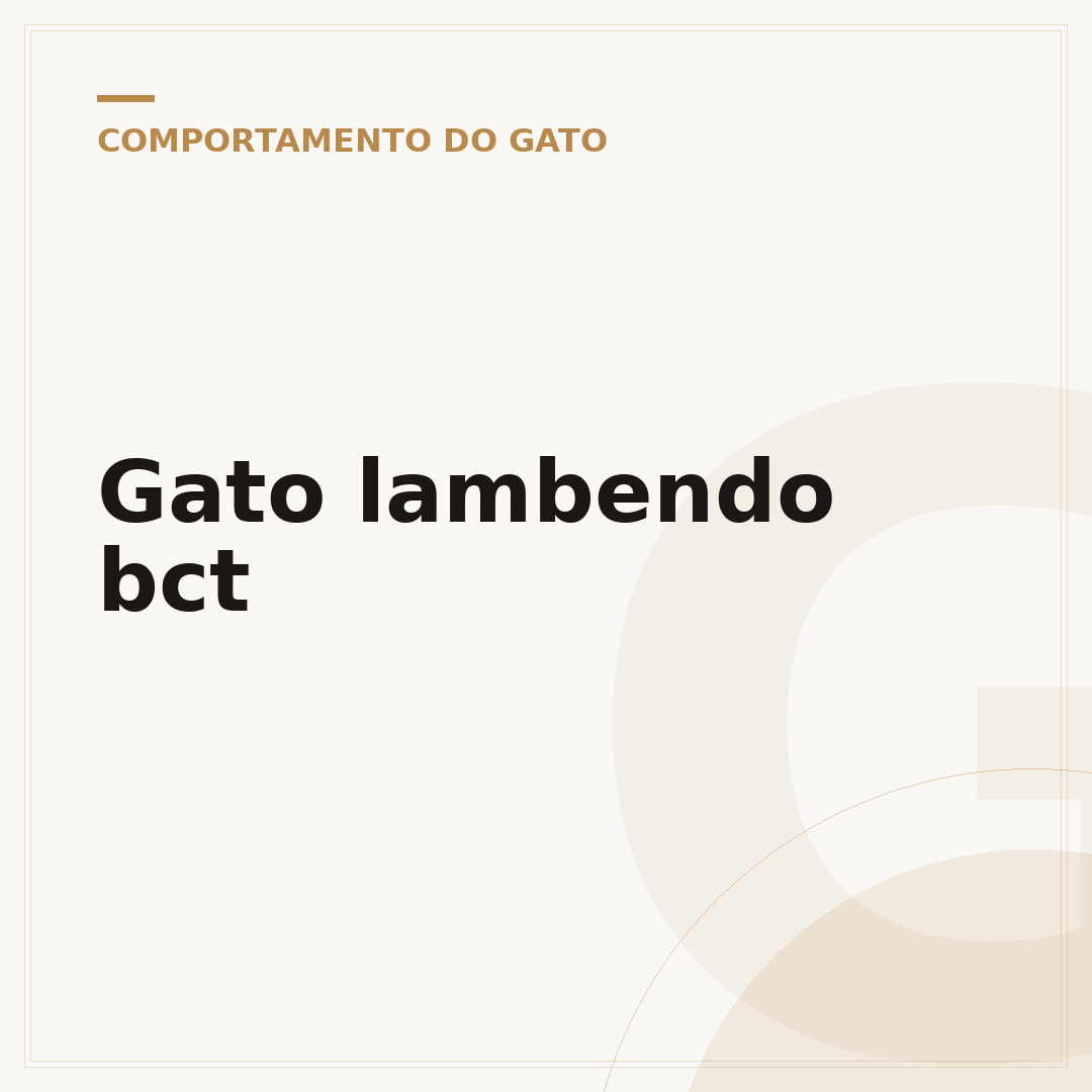 Gato lambendo bct