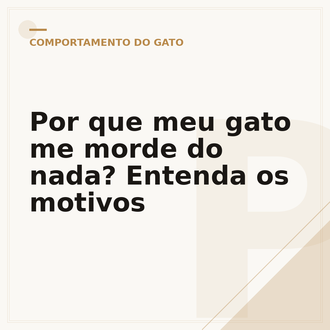 Por que meu gato me morde do nada? Entenda os motivos