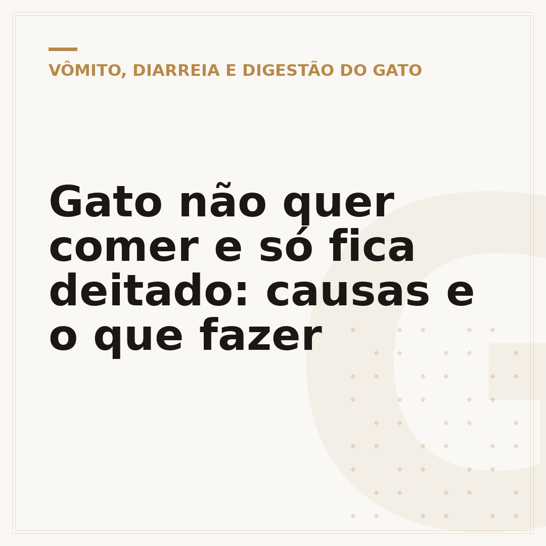 Gato não quer comer e só fica deitado: causas e o que fazer