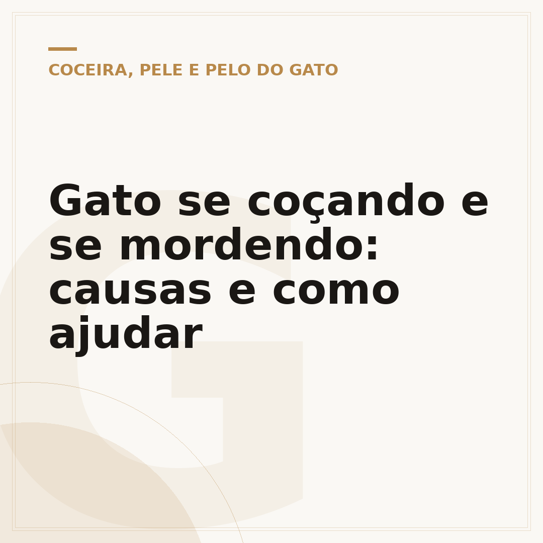 Gato se coçando e se mordendo: causas e como ajudar