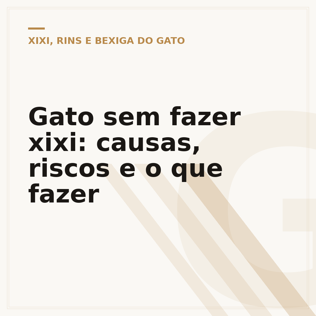 Gato sem fazer xixi: causas, riscos e o que fazer