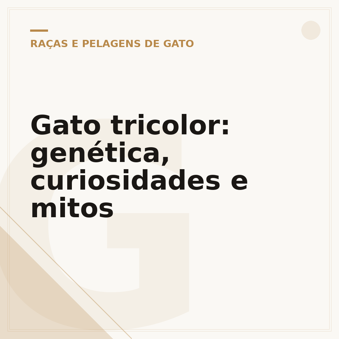 Gato tricolor: genética, curiosidades e mitos