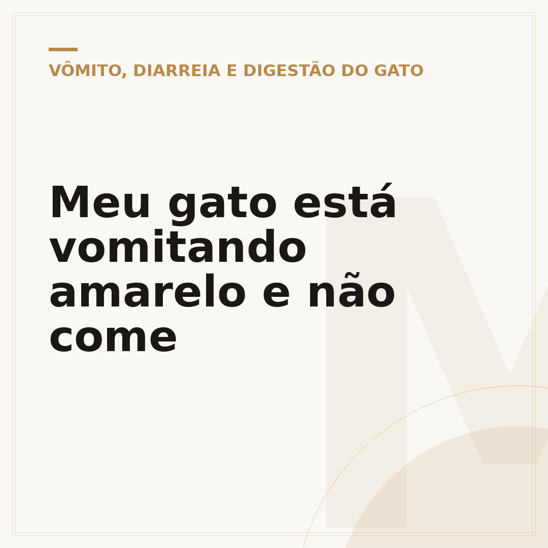 Meu gato está vomitando amarelo e não come