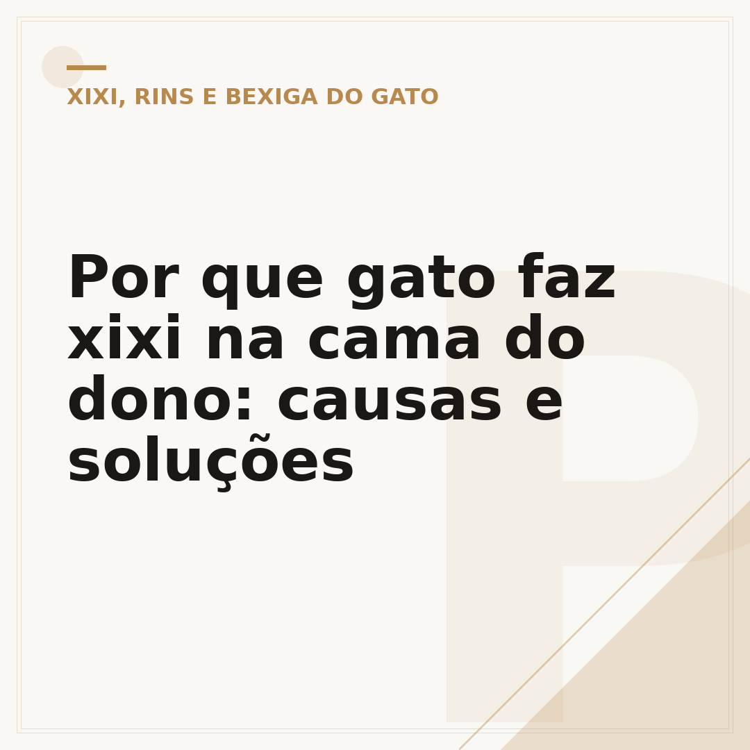 Por que gato faz xixi na cama do dono: causas e soluções