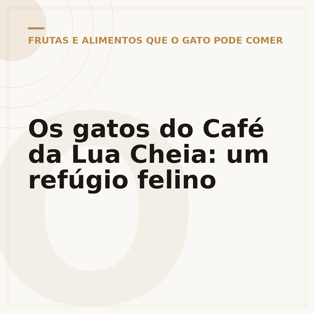 Os gatos do Café da Lua Cheia: um refúgio felino