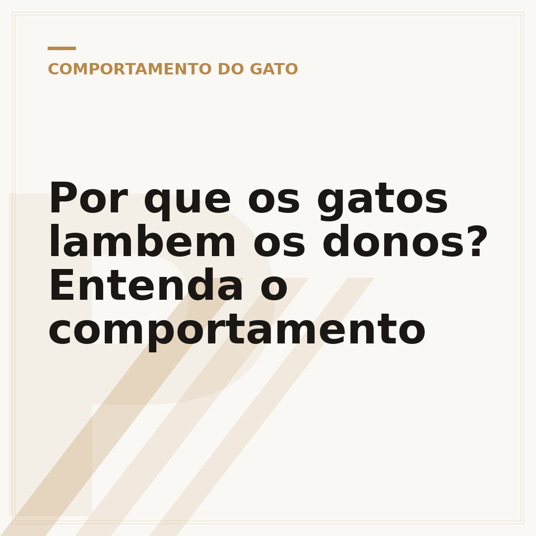 Por que os gatos lambem os donos? Entenda o comportamento