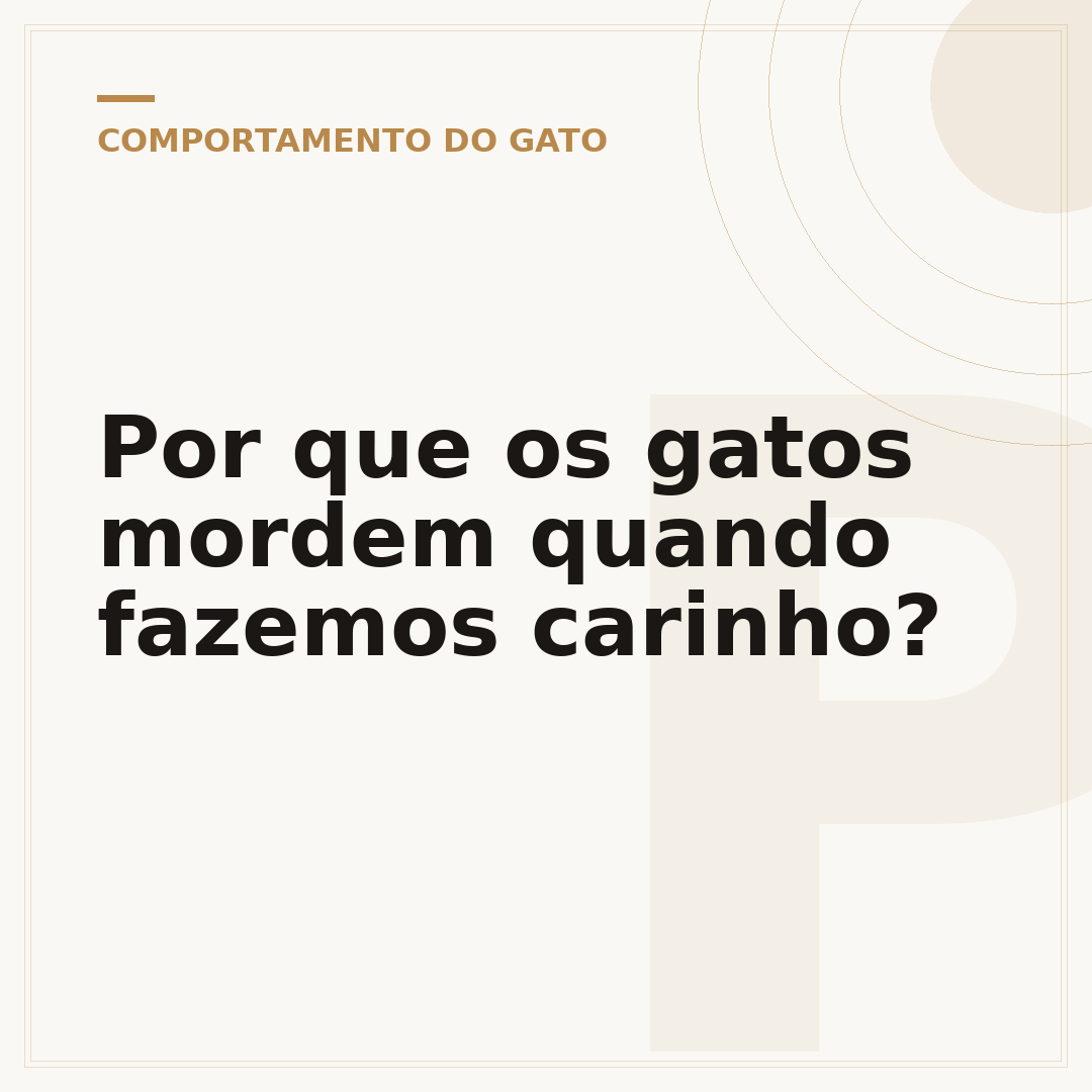 Por que os gatos mordem quando fazemos carinho?