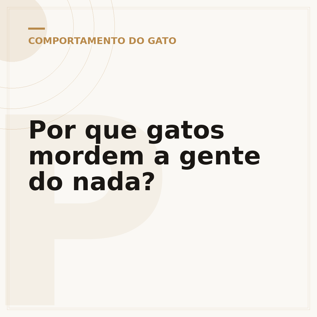 Por que gatos mordem a gente do nada?