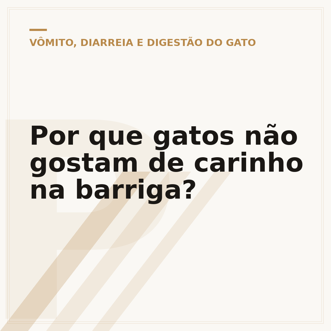 Por que gatos não gostam de carinho na barriga?