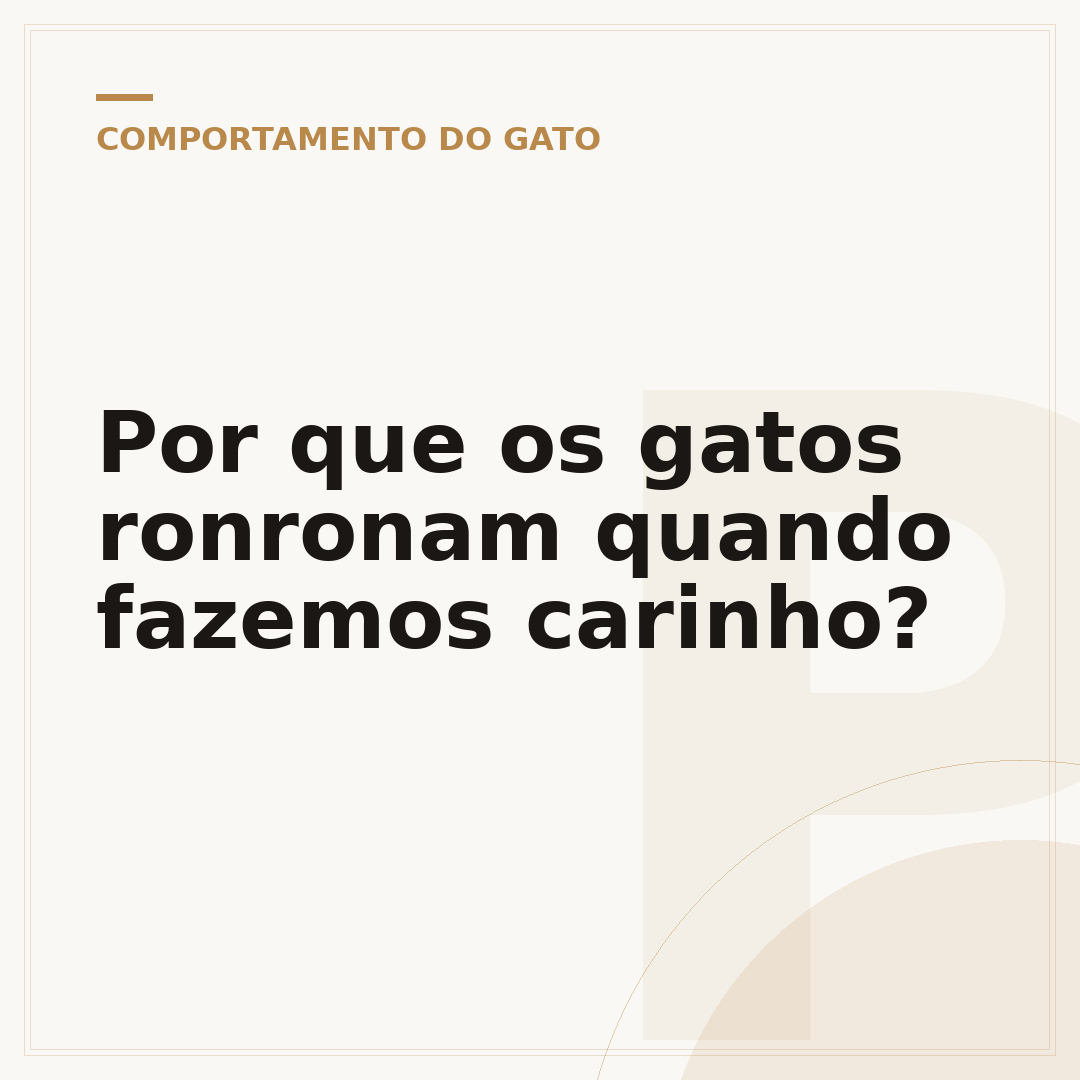 Por que os gatos ronronam quando fazemos carinho?