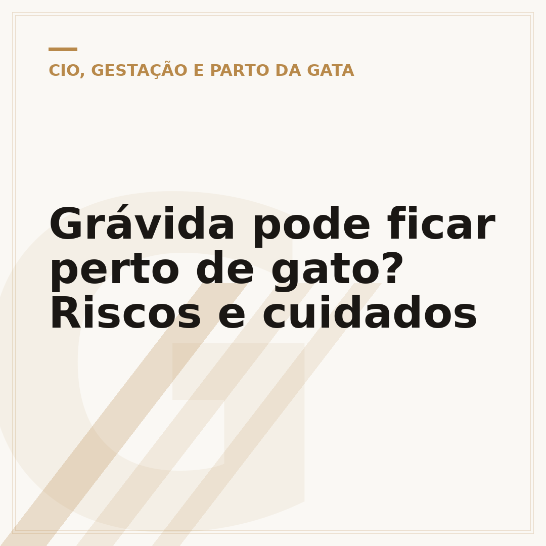 Grávida pode ficar perto de gato? Riscos e cuidados