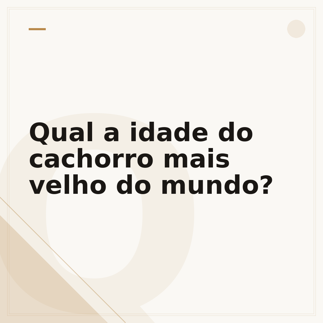 Qual a idade do cachorro mais velho do mundo?