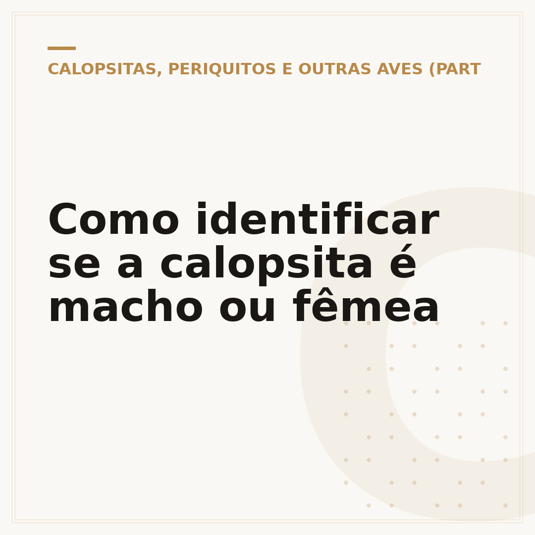 Como identificar se a calopsita é macho ou fêmea