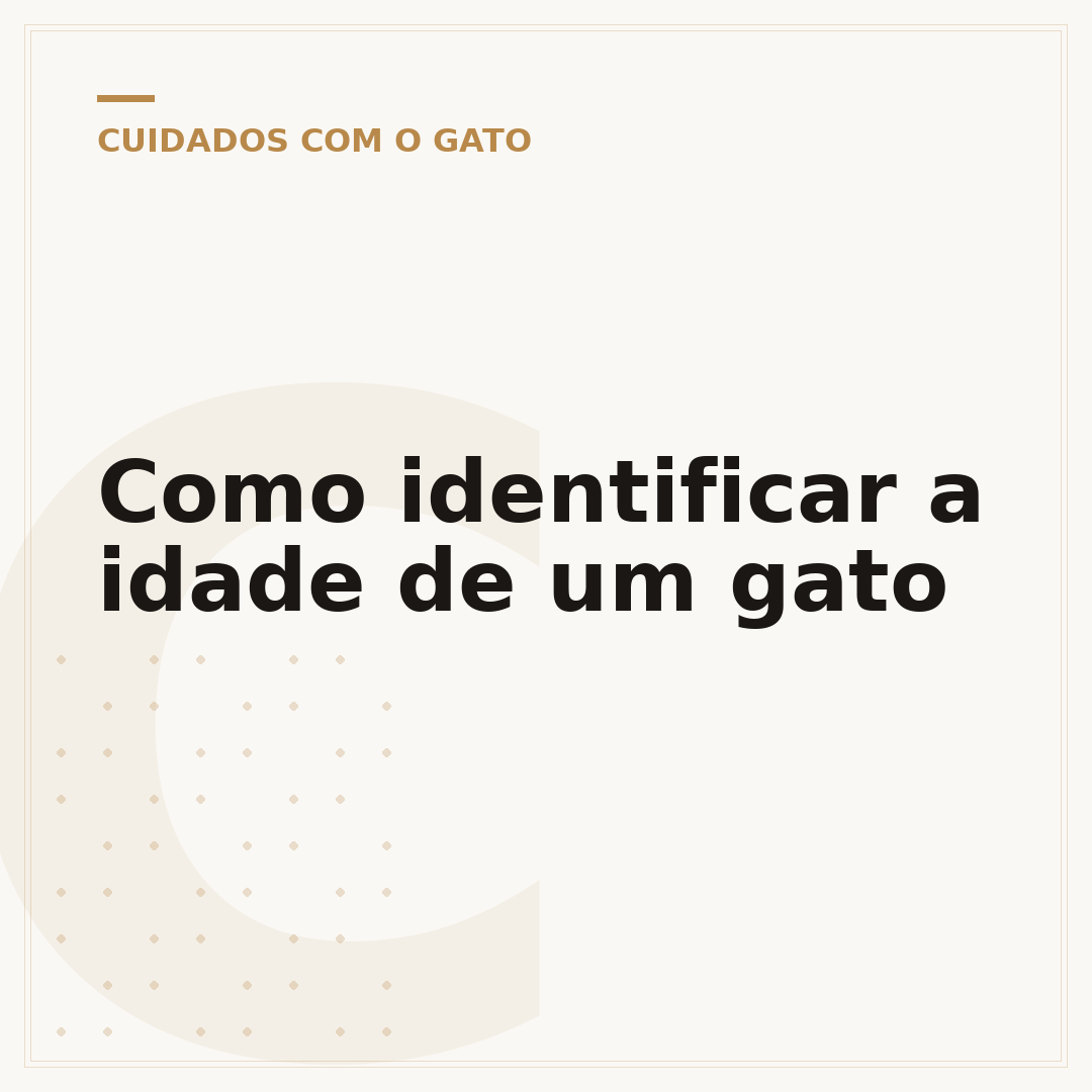 Como identificar a idade de um gato
