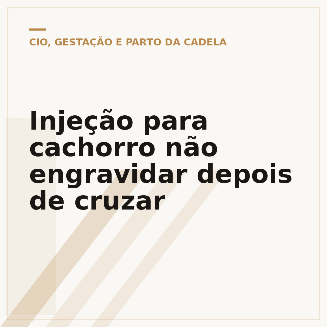 Injeção para cachorro não engravidar depois de cruzar