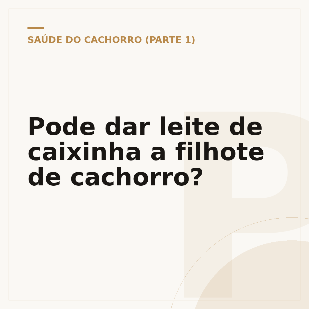 Pode dar leite de caixinha a filhote de cachorro?