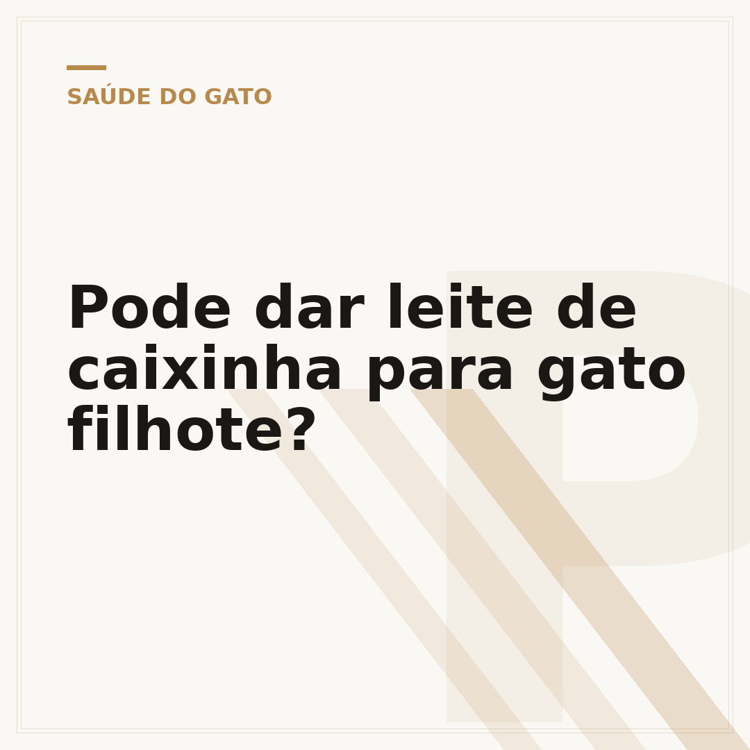 Pode dar leite de caixinha para gato filhote?