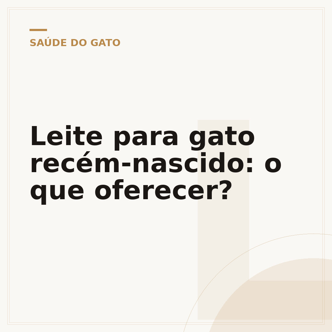 Leite para gato recém-nascido: o que oferecer?