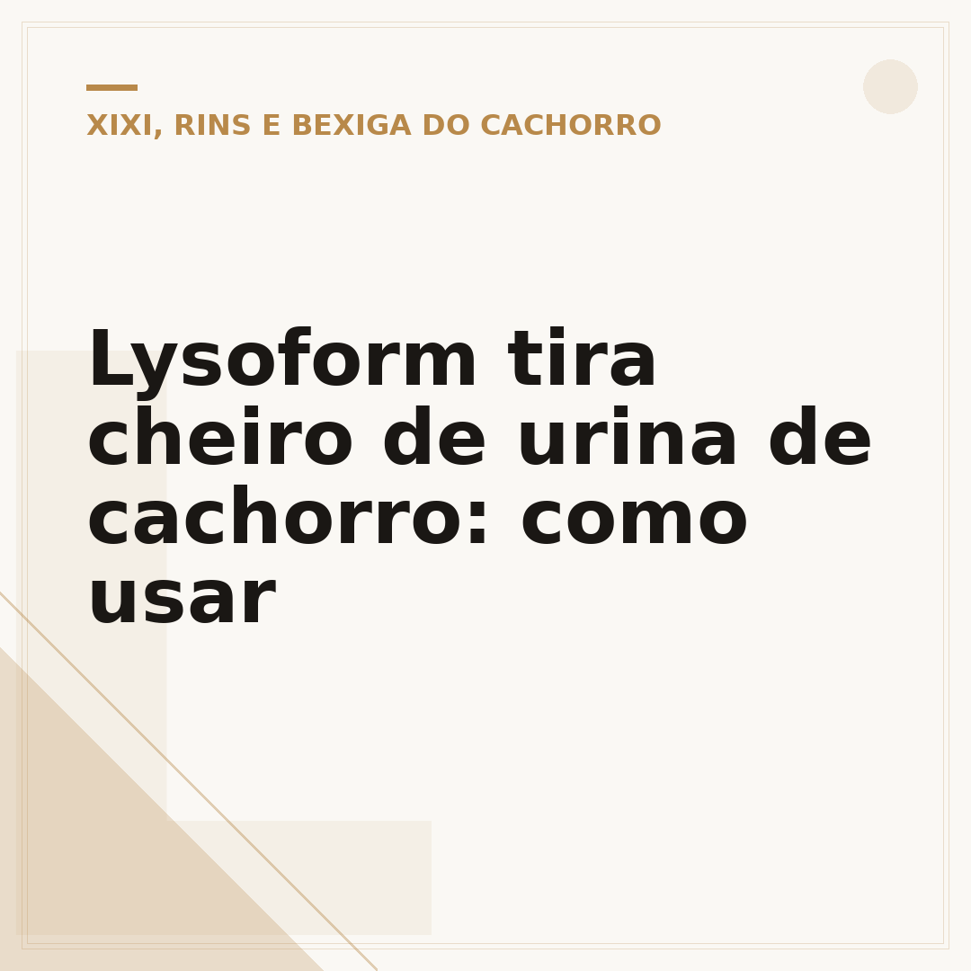 Lysoform tira cheiro de urina de cachorro: como usar