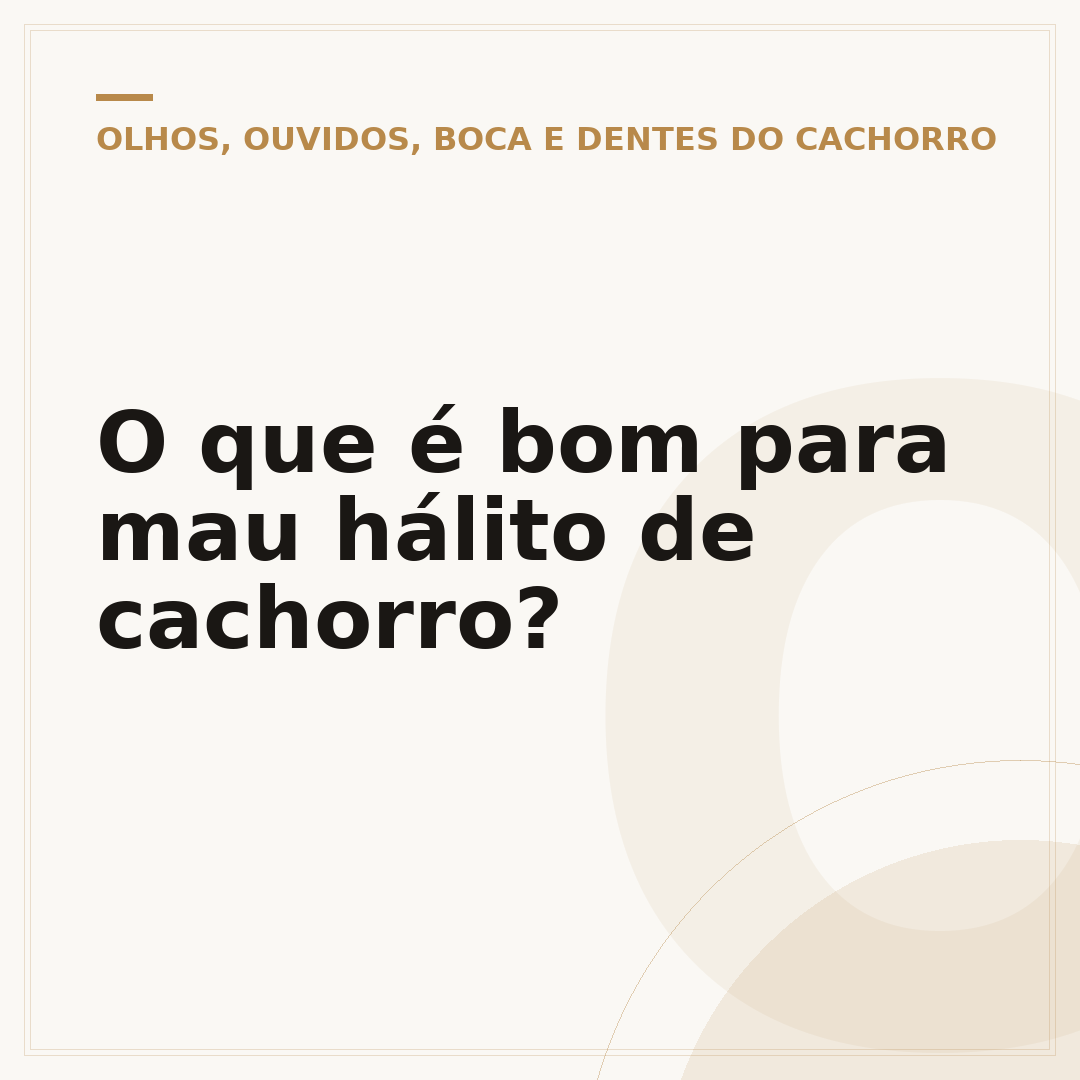 O que é bom para mau hálito de cachorro?