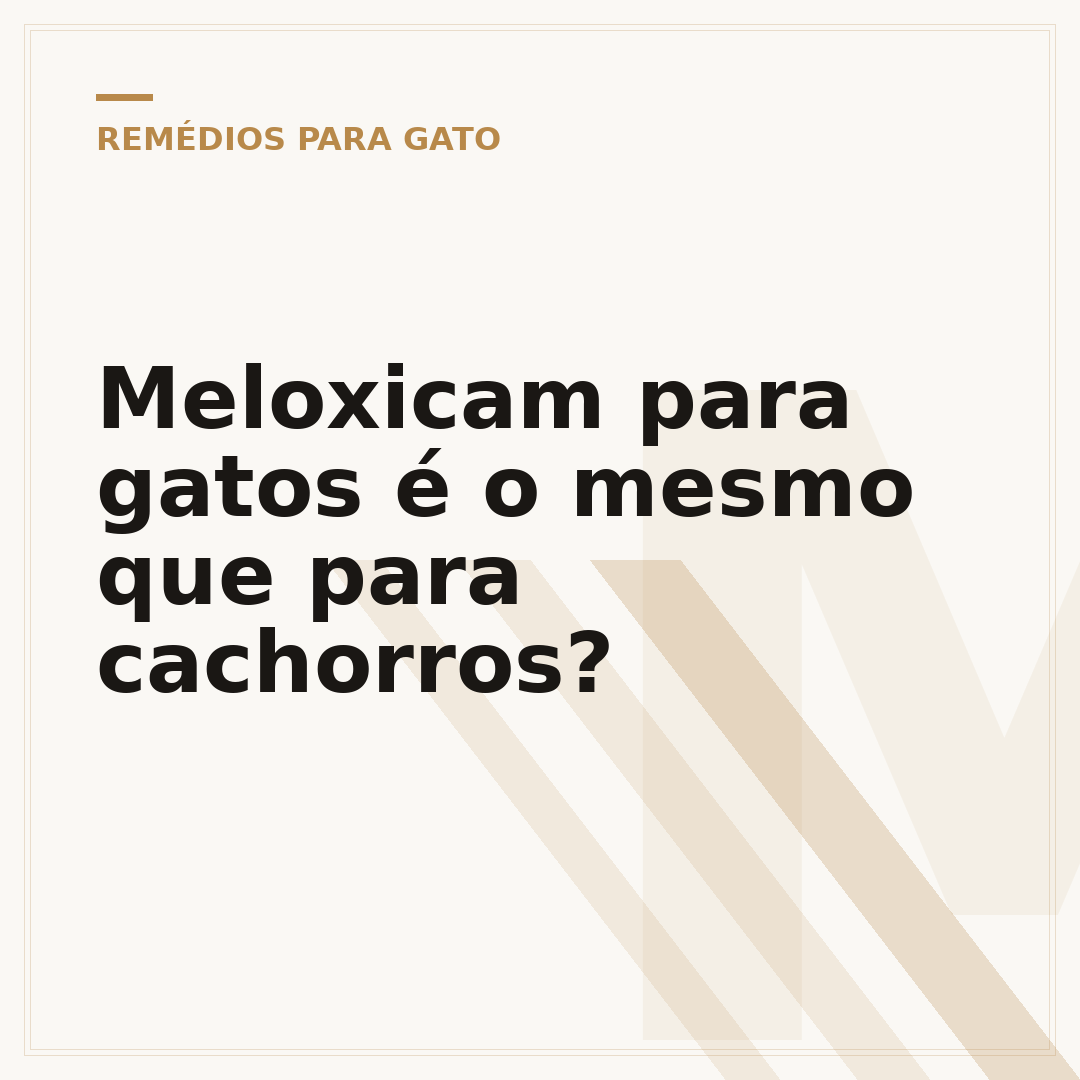 Meloxicam para gatos é o mesmo que para cachorros?