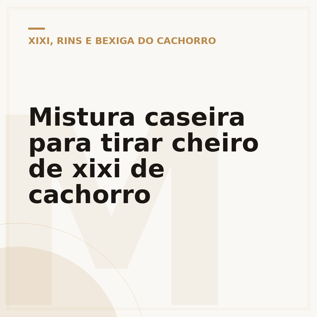 Mistura caseira para tirar cheiro de xixi de cachorro