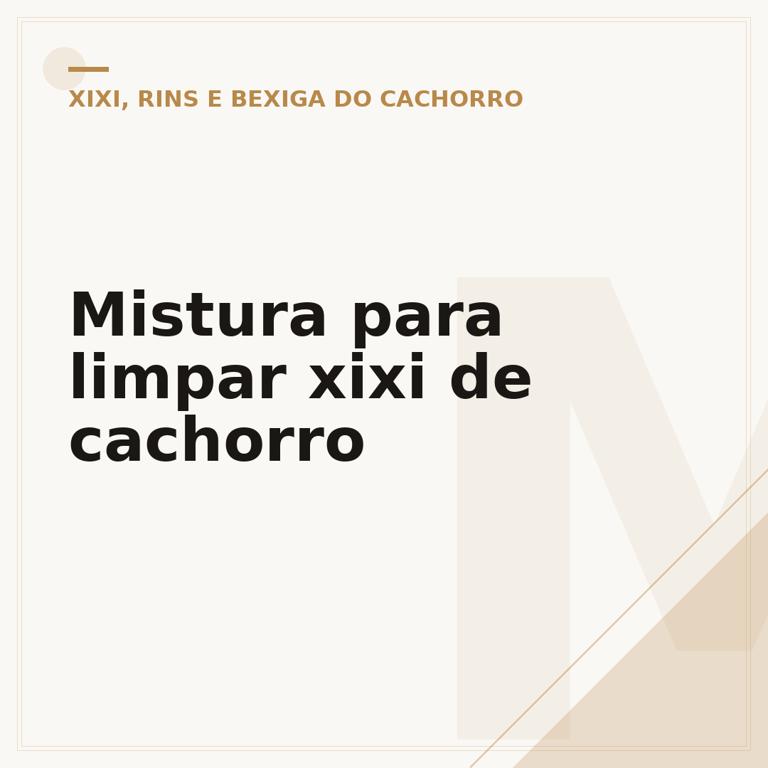 Mistura para limpar xixi de cachorro