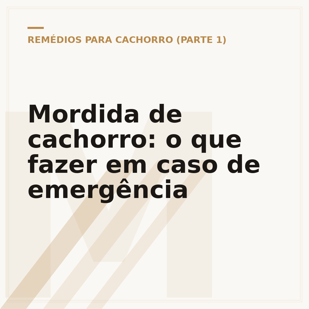 Mordida de cachorro: o que fazer em caso de emergência