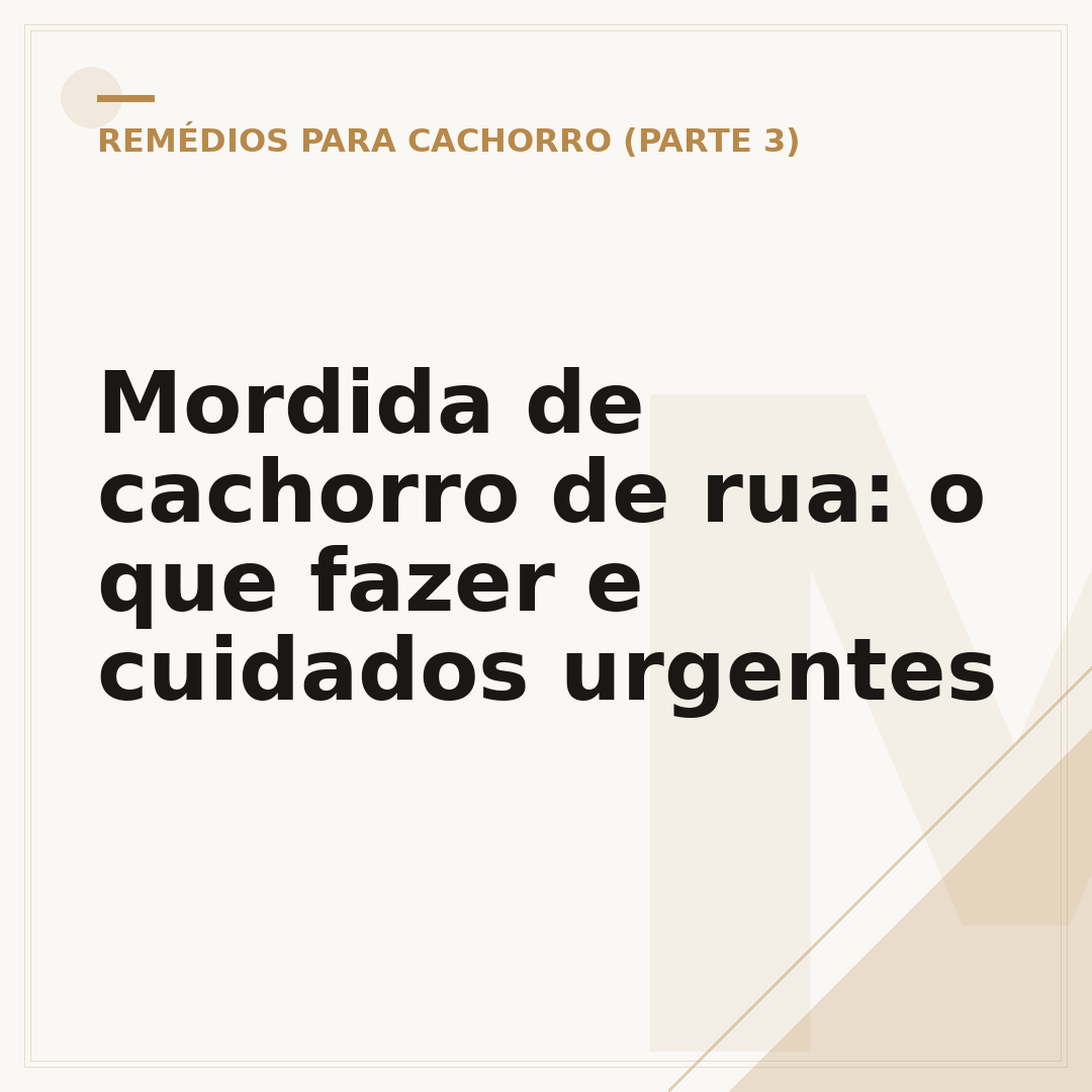 Mordida de cachorro de rua: o que fazer e cuidados urgentes