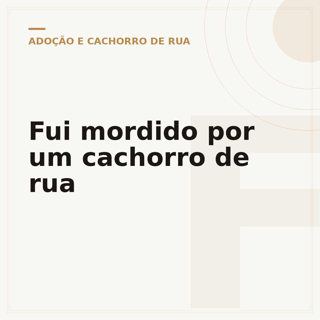 Fui mordido por um cachorro de rua