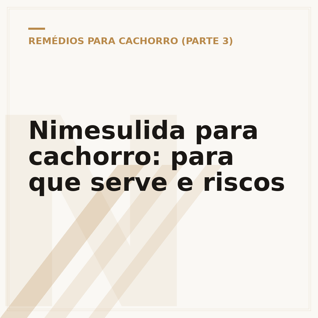 Nimesulida para cachorro: para que serve e riscos